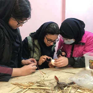 کلاس کارفناوری دختران نیک اندیشان